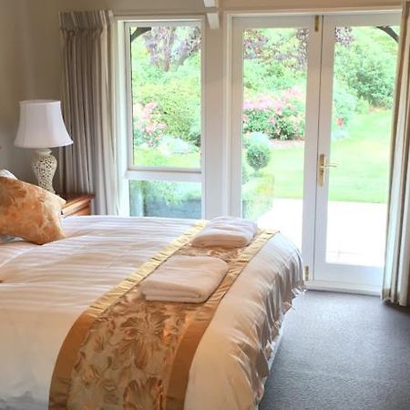 Rhododendron Garden Christchurch Quarto foto