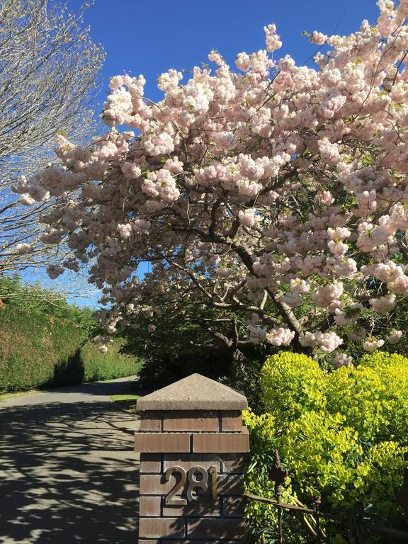 Rhododendron Garden Christchurch Exterior foto