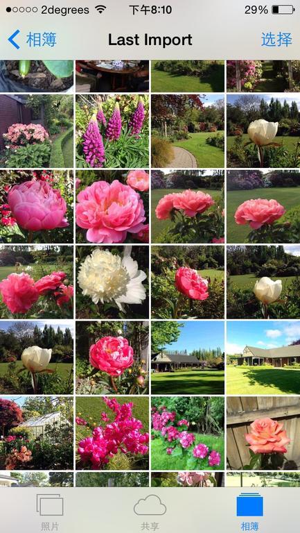 Rhododendron Garden Christchurch Exterior foto