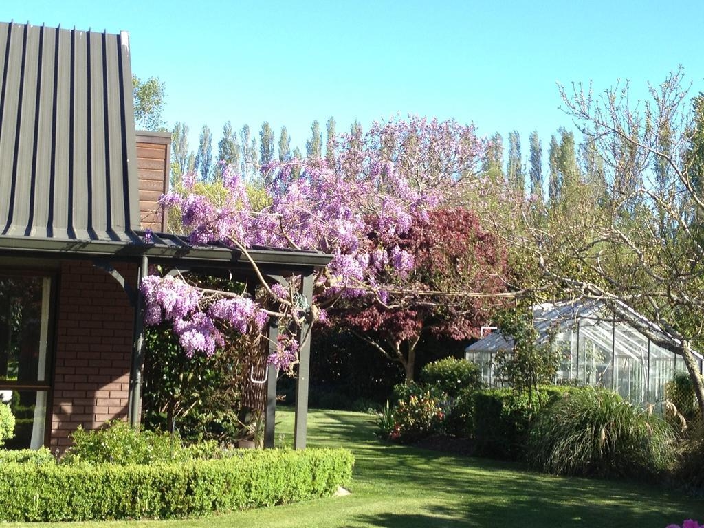 Rhododendron Garden Christchurch Quarto foto
