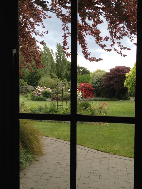 Rhododendron Garden Christchurch Quarto foto