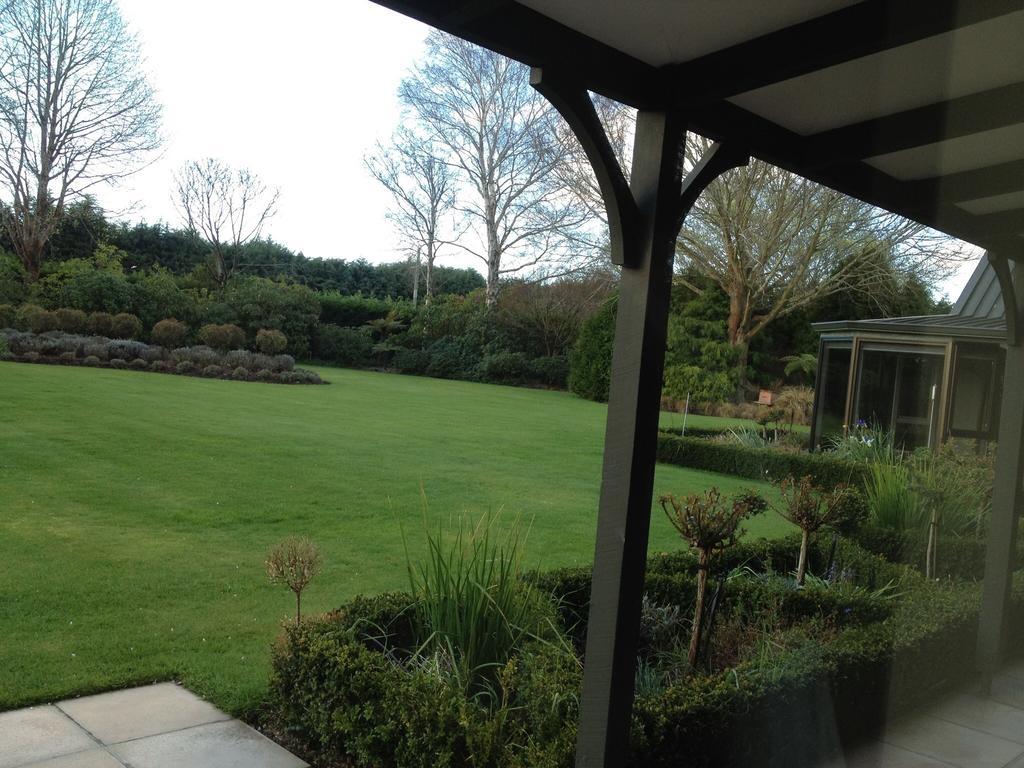 Rhododendron Garden Christchurch Quarto foto