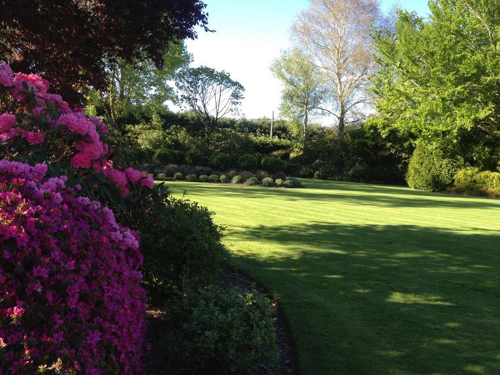 Rhododendron Garden Christchurch Quarto foto