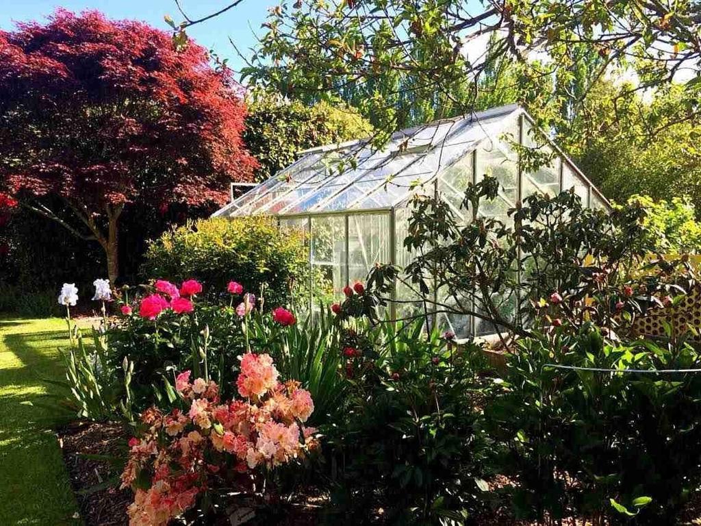 Rhododendron Garden Christchurch Quarto foto