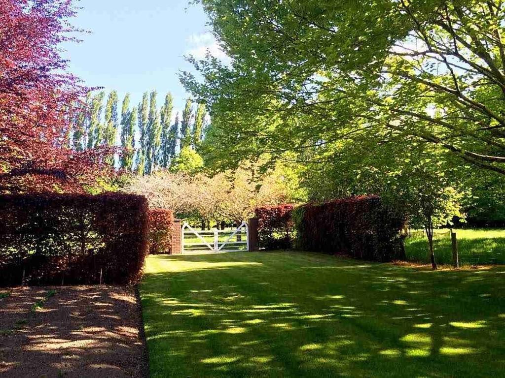 Rhododendron Garden Christchurch Quarto foto