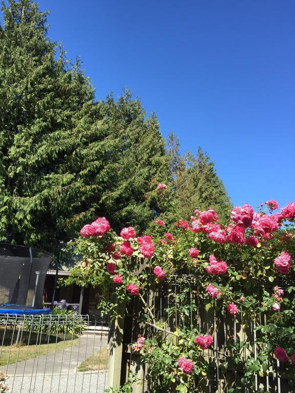 Rhododendron Garden Christchurch Exterior foto