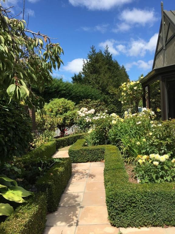 Rhododendron Garden Christchurch Quarto foto
