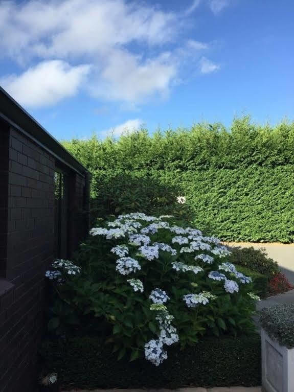 Rhododendron Garden Christchurch Exterior foto